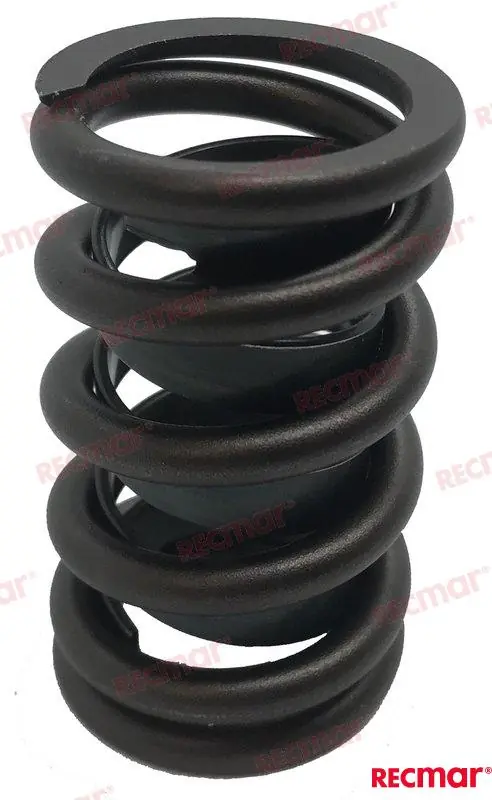 Spring: Valve 181 REC11501 Express Delivery