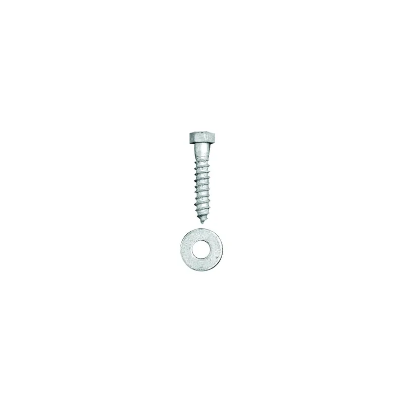 Premium Tie Down Engineering Dock Hardware - Hot Dipped Galvanized Lag Bolt Set (8 Per Bag)