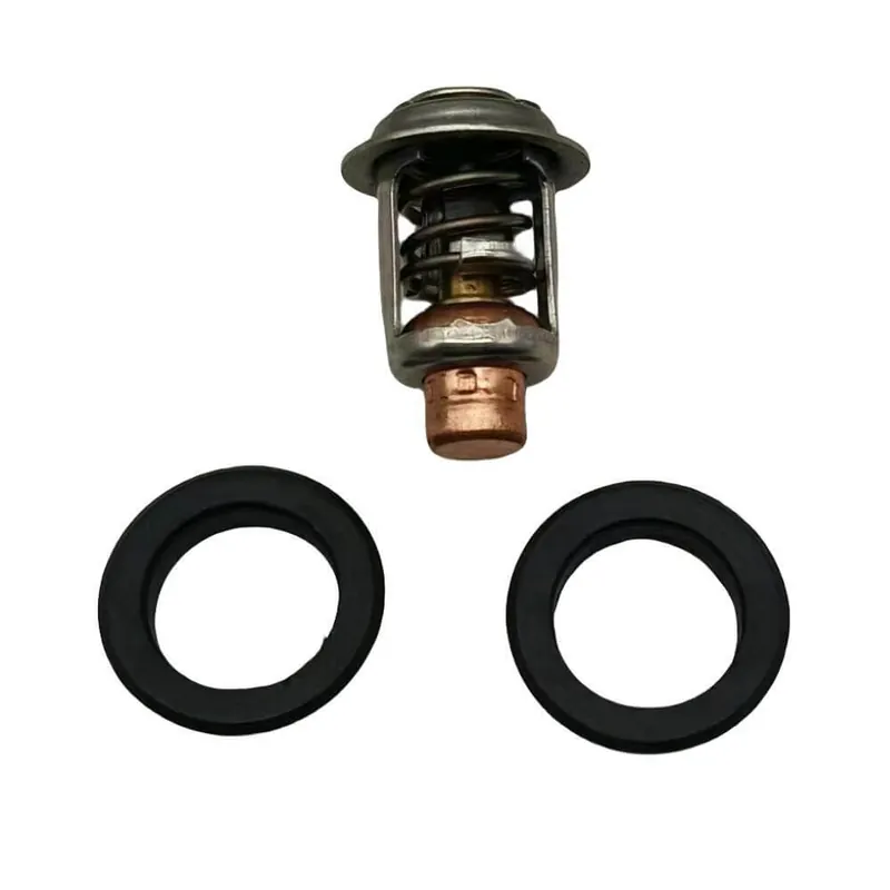 No Minimum Order Thermostat for Johnson/Evinrude 378065 393659 434841 437414 5005440 5005440 435491 833072003 18-3536