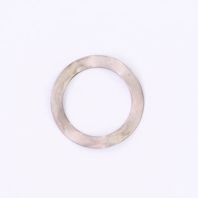 BRP Spring Washer #325780 One Day Deal